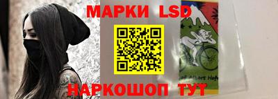 крисы Камышлов