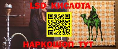 крисы Камышлов