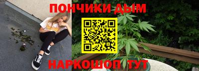 крисы Камышлов
