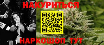 крисы Камышлов