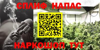 крисы Камышлов
