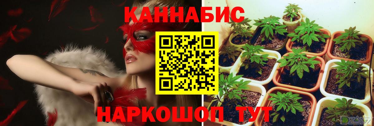 Конопля White Widow Кубинка
